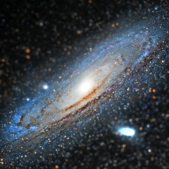 Meet your Posher, Bryan - Picture 8 of 13